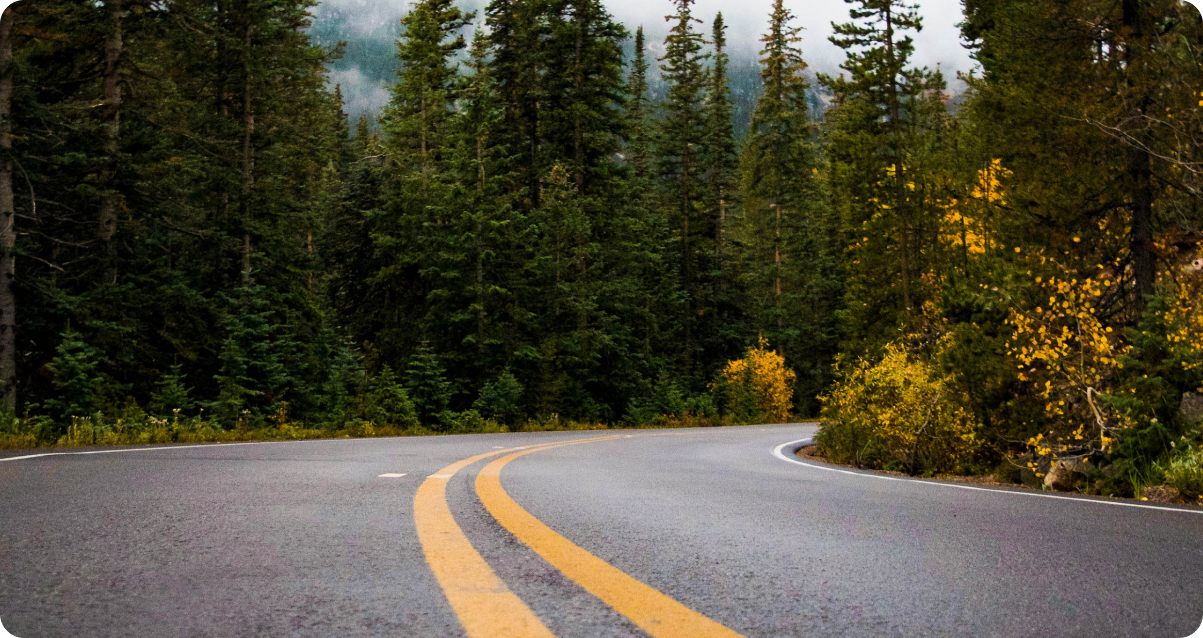 Scenic road through nature